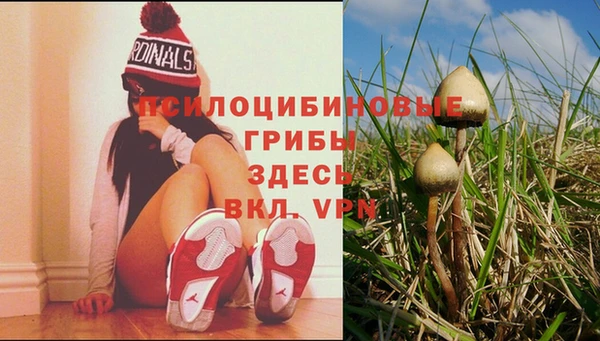 дживик Богородицк