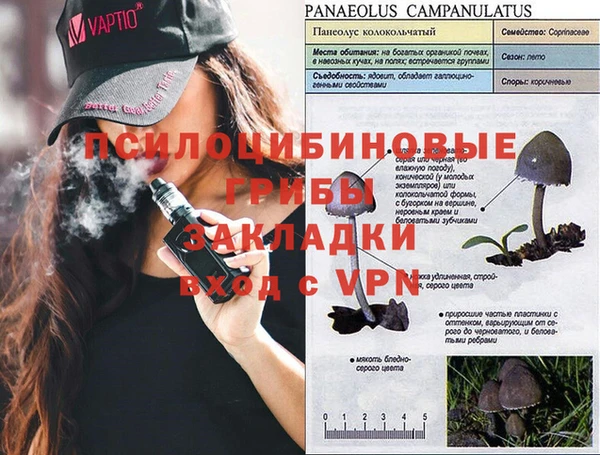 метадон Белокуриха