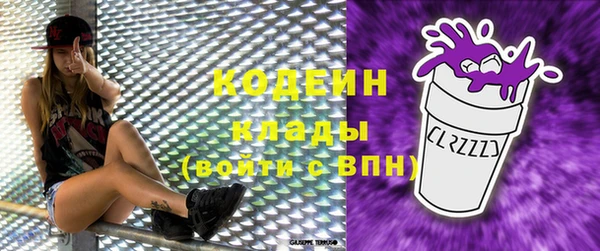 дживик Богородицк