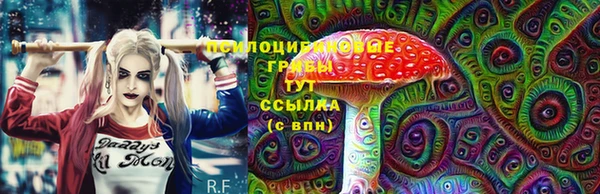 гашиш Богданович