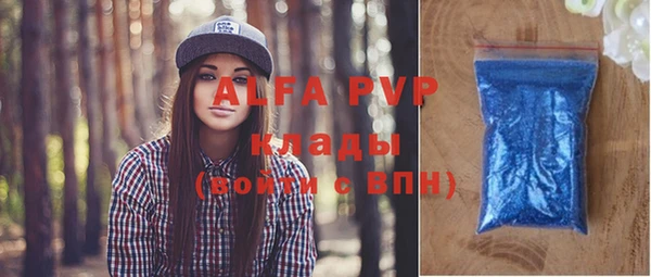 дживик Богородицк