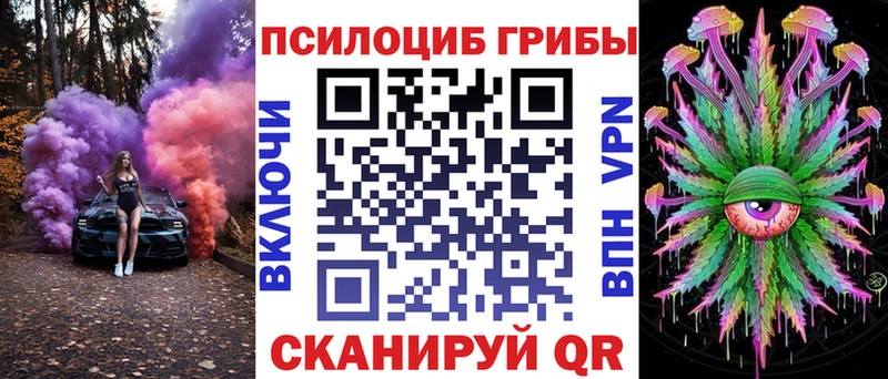 сайты даркнета официальный сайт  дарнет шоп  Бодайбо  Псилоцибиновые грибы мицелий 